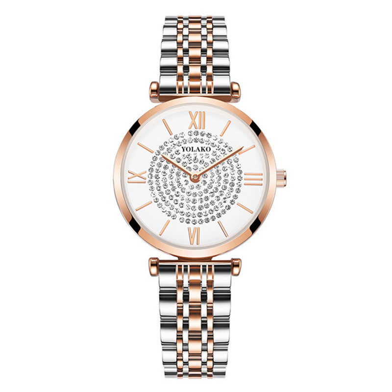 Ladies Fashion Steel Band Quartz Gypsophila Watch