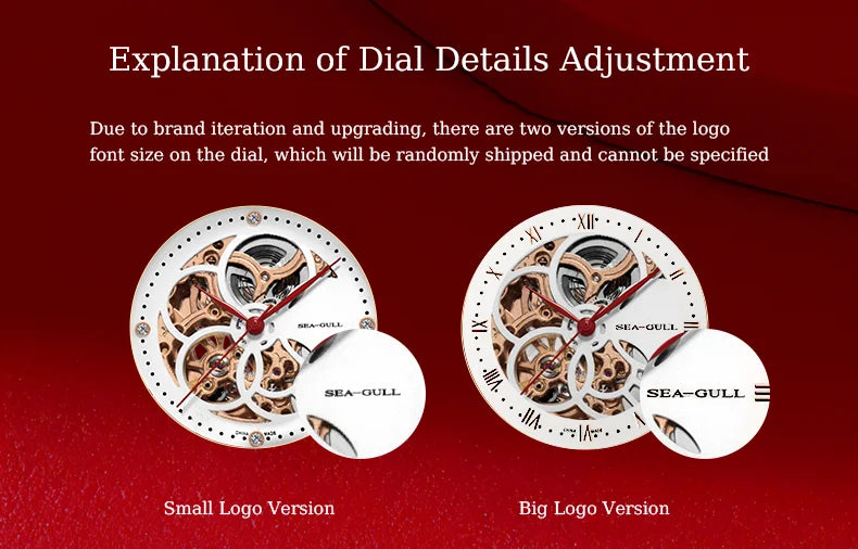 Fashion Women's Watch Leather Strap Waterproof Skeleton Automatic